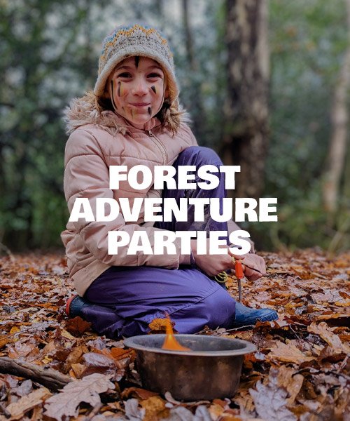 Forest adventure parties