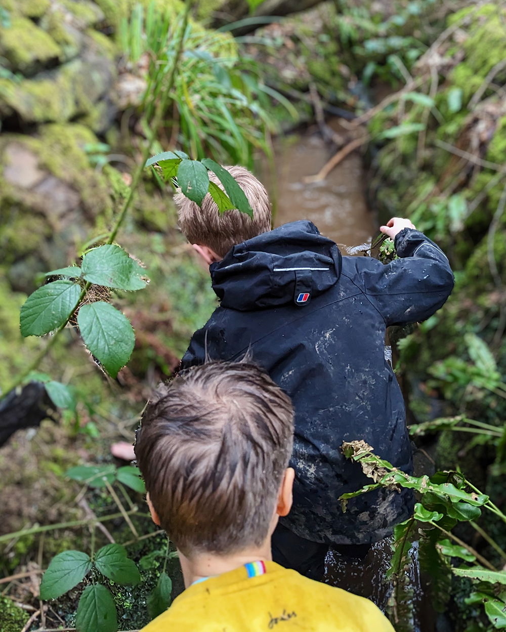 forest school secondary1