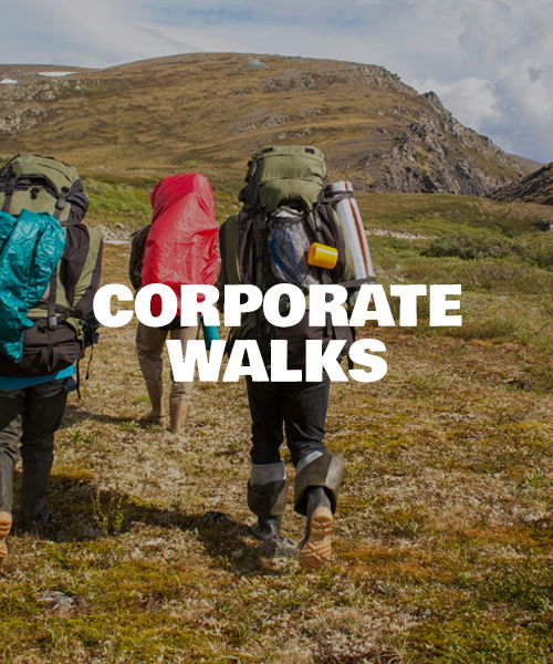 corporate walks intro